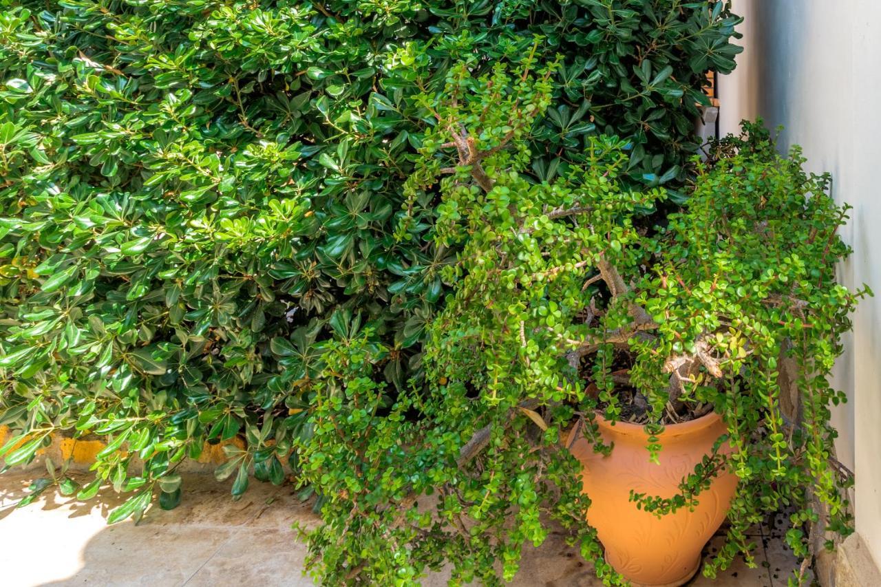 Maryvilla Inspiracion Y Vacaciones - Villa Mascarat Calp Dış mekan fotoğraf